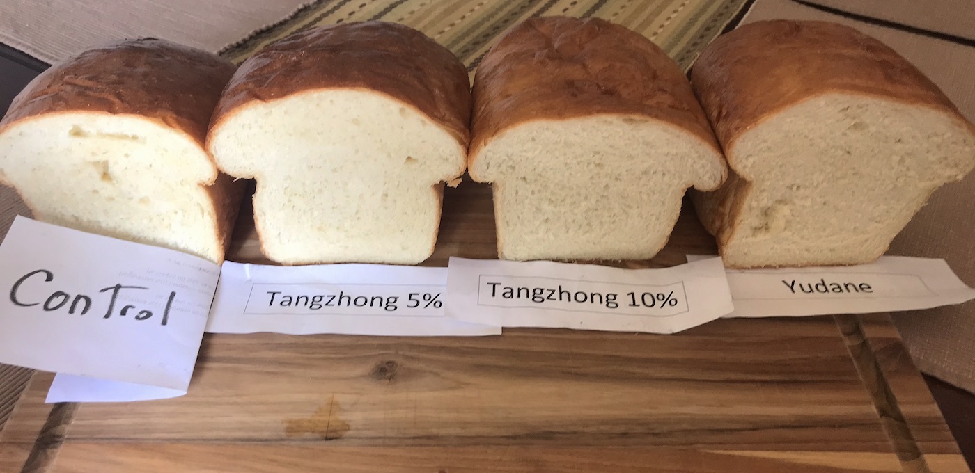 Testing The Tangzhong Bread Method | Institute Of Culinary Education